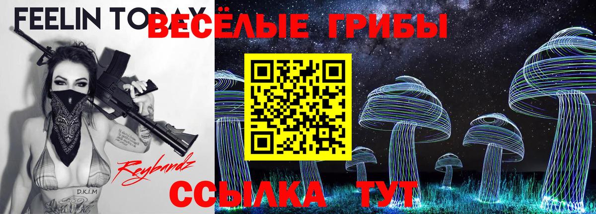 Галлюциногенные грибы мицелий  где купить   Галлюциногенные грибы Psilocybe  Ипатово  Вход с VPN 